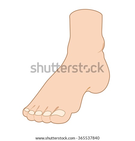 Illustration Raised Cartoon Foot Raster Stock Illustration 108127853 ...