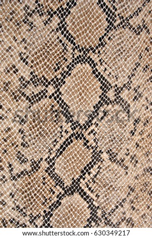 Snakeskin Stock Images, Royalty-Free Images & Vectors | Shutterstock