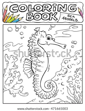 Seahorse Coloring Book Pages Sea Animals Stock Vector