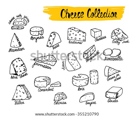 Cheese collection. Vector illustration of cheese types in hand drawn style. Cheese Isolated on white
