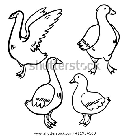 Duck And Goose Tad Hills Coloring Coloring Pages