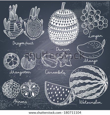 Tasty tropical fruit set in vector. Dragon fruit, durian, longan, mangosteen, carambola, mango, annona and watermelon. Cute cartoon vector card in vintage style