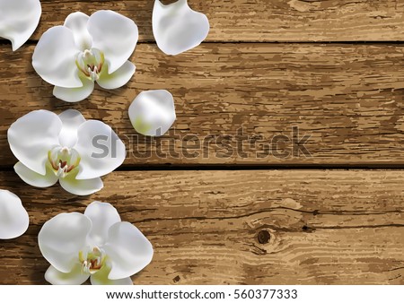 Moon orchid on natural brown wooden background top view. Wood texture close up. Vector illustration.