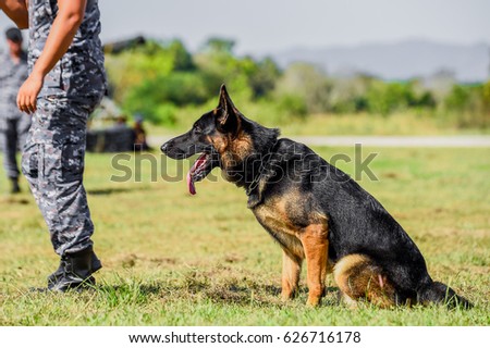 K9 Officer Stock Images, Royalty-Free Images &amp; Vectors ...