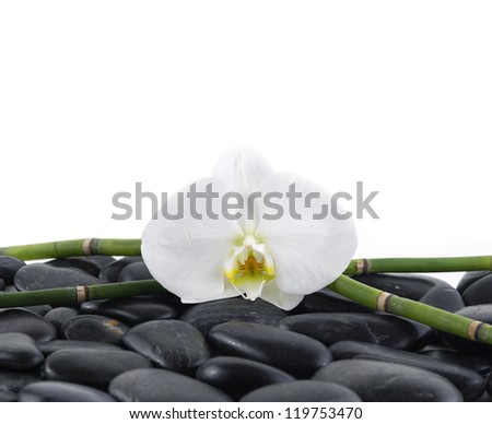 cherry grove beach massage therapists cherry grove beach massage therapists