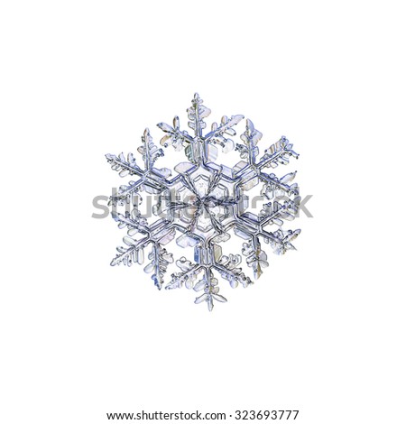 Real Snowflake Real Snowflake