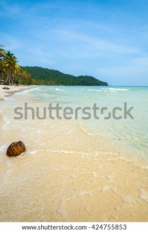Lonely coconut Taken at Sao Beach on Phu Quoc island, the largest island in Vietnam.