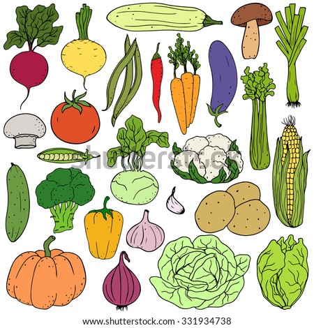 Vector Set Bright Hand Drawing Vegetables Stock Vector 285258977 ...