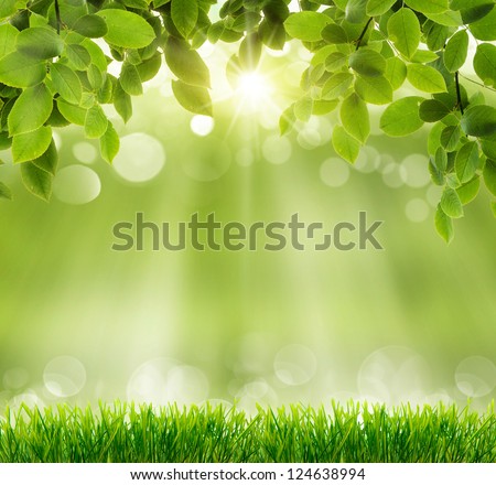 natural green background with selective focus - stock photo