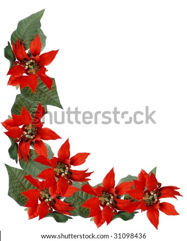 Res: 461x942 pixels, Poinsettia Flower Border 12642 we have reviewed 