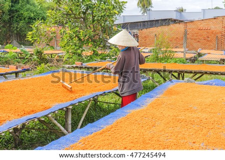 TAY NINH,VIETNAM - NOV 25, 2014:Tay Ninh chili shrimp salt (muoi tom),Vietnamese cuisine.Tay Ninh is famous for wholesale shrimp salt in Vietnam.This kind of salt is made of dried shrimp