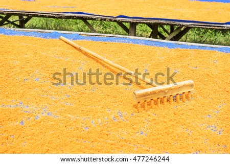 Tay Ninh chili shrimp salt (muoi tom), Vietnamese cuisine. Tay Ninh is famous for wholesale shrimp salt in Vietnam. This kind of salt is made of dried shrimp, then mixed with chili. It is quite spicy.