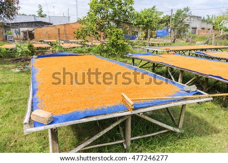 Tay Ninh chili shrimp salt (muoi tom), Vietnamese cuisine. Tay Ninh is famous for wholesale shrimp salt in Vietnam. This kind of salt is made of dried shrimp, then mixed with chili. It is quite spicy.
