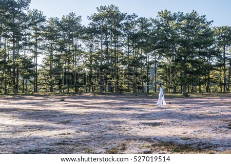 DA LAT, VIETNAM - NOV 20,2016: pink grass at Suoi Vang lake, Da Lat, Vietnam.