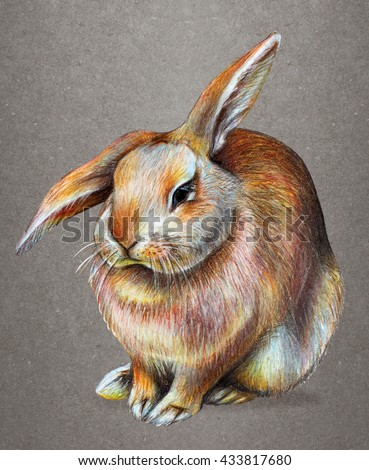Lop Eared-rabbit Stock Photos Royalty-Free Images