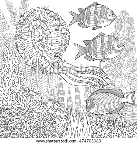 Stylized Composition Tropical Fish Calamari Squid Stock Vector ...