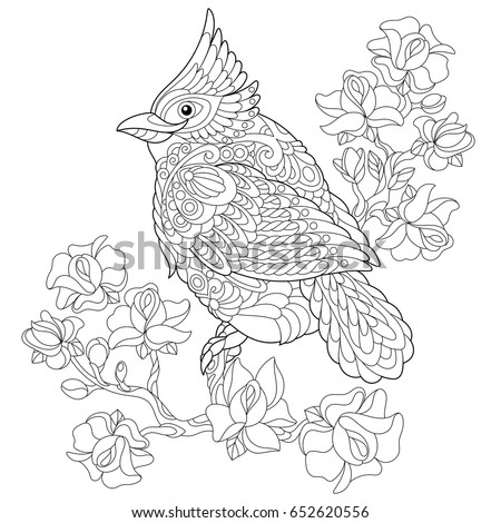 Download St. Louis Cardinals Fredbird Coloring Page Coloring Pages