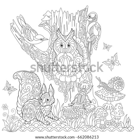 Coloring Book Page Of Forest Landscape Owl Cuckoo Bird Woodpecker Squirrel