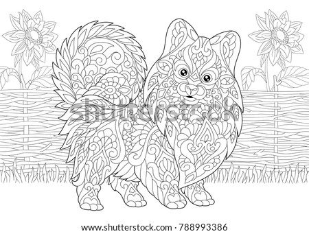 coloring page adult coloring book pomeranian stock vector