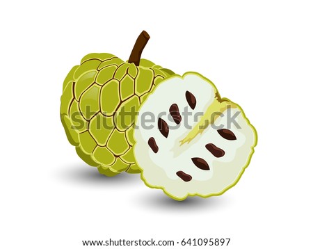 Half Apple Stock Illustrations, Images & Vectors | Shutterstock