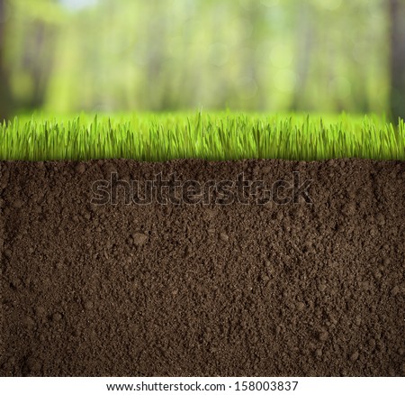 Under Ground Stock Images, Royalty-Free Images & Vectors | Shutterstock