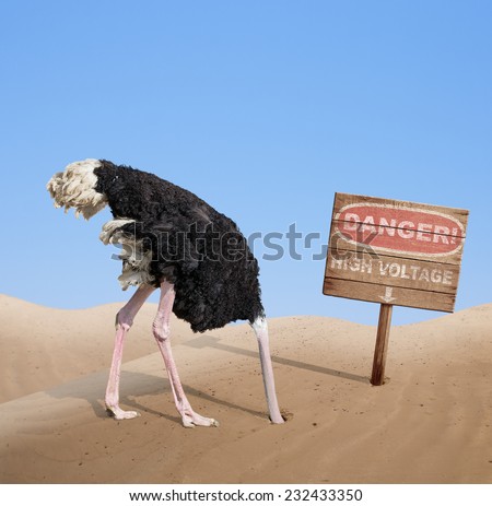 stock-photo-scared-ostrich-burying-head-in-sand-near-standing-high-voltage-wooden-signboard-232433350.jpg