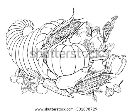 Thanksgiving Cornucopia With Vegetables Horn Of Plenty Black White Hand Drawn Vector Illustration
