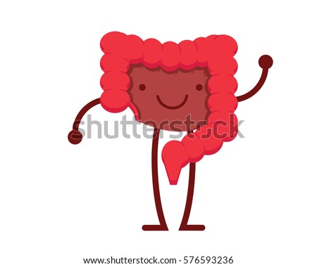 Healthy Happy Cute Human Anatomy Illustration Stock Vector 576593236 ...