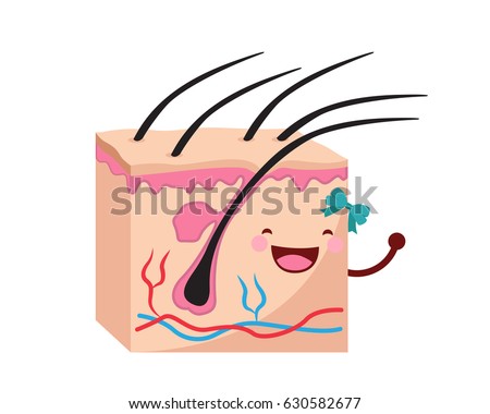 epidermis stock photo images 1 157 epidermis royalty free images and photography available to epidermis stock images royalty free images vectors epidermis stock photo images 1 157 epidermis royalty free images and photography available to epidermis stock images royalty free images vectors