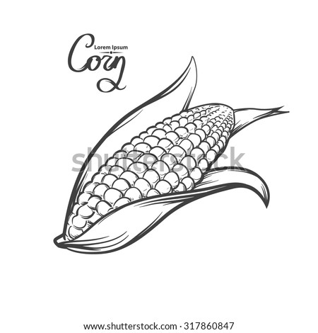 corn, outline style, for menu, simple illustration