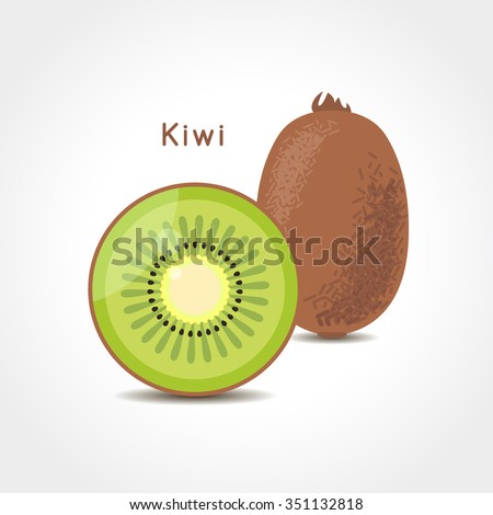 Kiwi fruit vector illustration. Sliced juice kiwi on the white background.