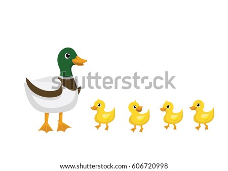 Duck Stock Images, Royalty-Free Images & Vectors | Shutterstock