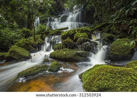 Read this southeast asian rain forest 3012 consider, that Was southeast asian rain forest 3012