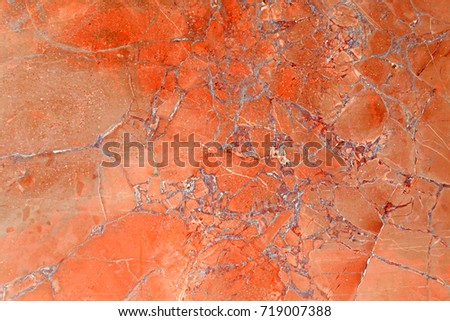 mg1408's Portfolio on Shutterstock