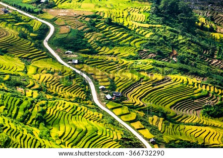 vietnam landscape, Terraced rice fields in Y Ty, LaoCai Province, VietNam. Terraces in northwest Vietnam's natural wonders. it attracts a lot of tourists