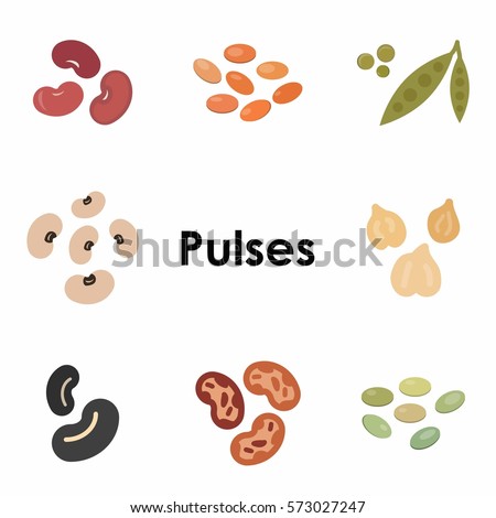 vector illustration of different types of pulses colorful icons
