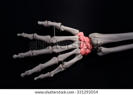 Dorsal Aspect Hand On Black Background Stock Photo 312563813 - Shutterstock