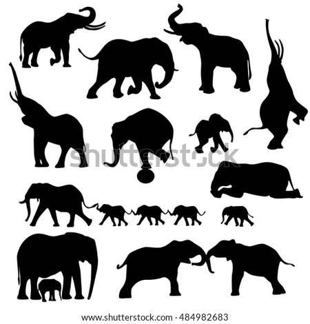 Download Circus Elephant Stock Photos, Royalty-Free Images ...