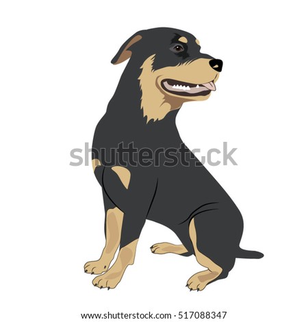 Cartoon Rottweiler Stock Images, Royalty-Free Images & Vectors