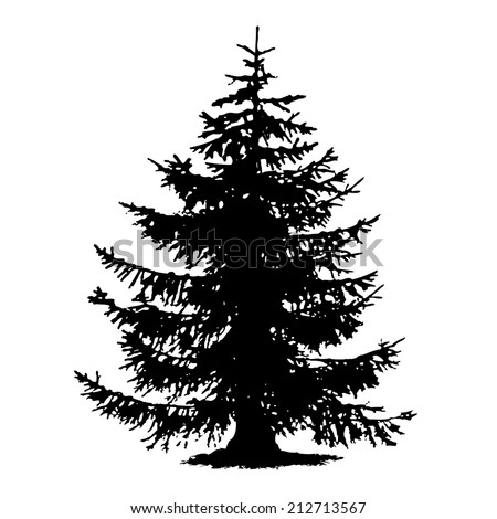 Black Spruce Trees Stock Images, Royalty-Free Images & Vectors ...