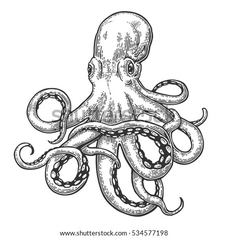 Octopus Stock Images, Royalty-Free Images & Vectors | Shutterstock