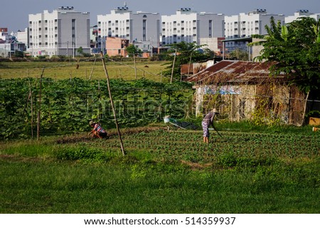 Dong Nai, Vietnam - April 26, 2015: Farmers are working on flowers field with buildings in the background