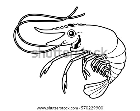 Black White Engraving Illustration Shrimp Circle Stock Vector 77448655 ...