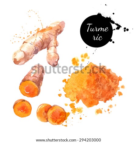 Turmeric. Hand drawn watercolor painting on white background. Vector illustration