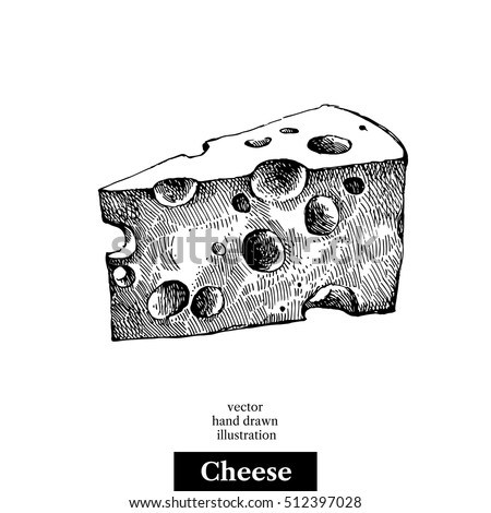 Hand drawn sketch piece of cheese. Vector black and white vintage illustration. Isolated object on white background
