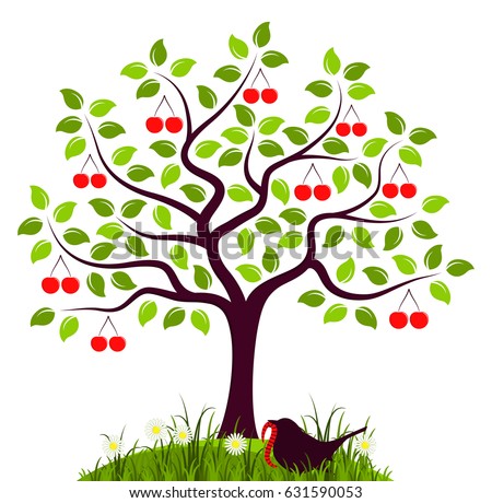 cherry tree vector cherry tree stock images royalty free images vectors cherry tree vector cherry tree stock images royalty free images vectors