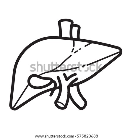 Uterus Coloring Outline Coloring Pages