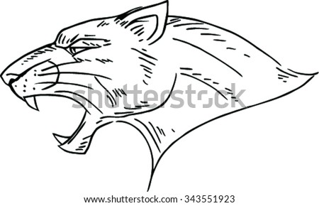 Sketch Black Panther Stock Vector 343551923 - Shutterstock