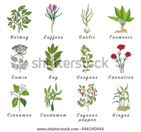 H and m herbal