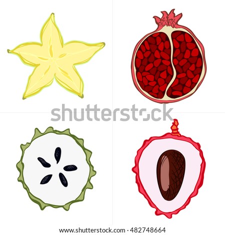 Set of fresh hand drawn fruits and vegetables and products. Eco healthy food.